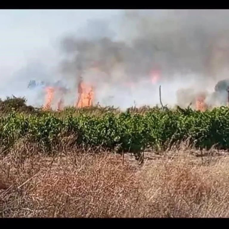 Detenido por Incendios Forestales en Bollullos: A disposición judicial